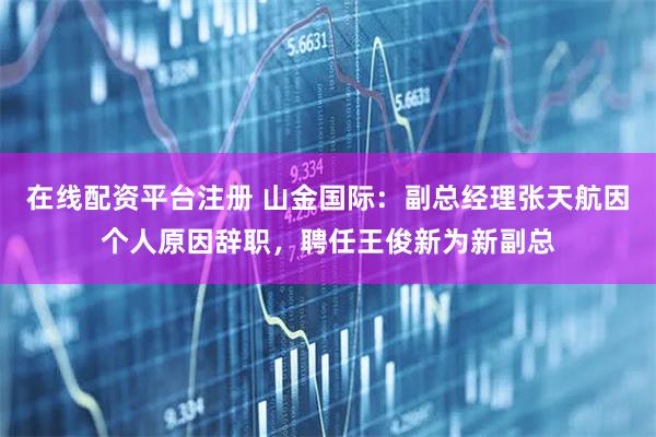 在线配资平台注册 山金国际：副总经理张天航因个人原因辞职，聘任王俊新为新副总