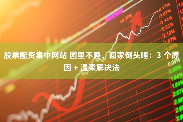 股票配资集中网站 园里不睡、回家倒头睡：3 个原因 + 温柔解决法